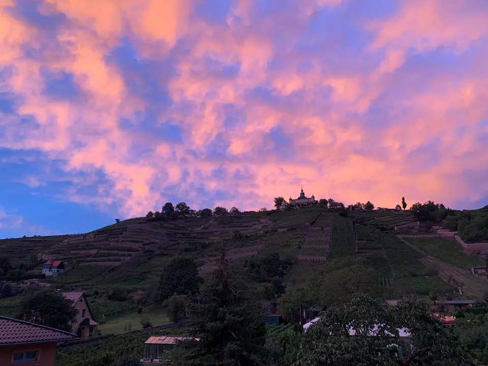 Rosafarbene Abendwolken über den Weinbergen, auf der Anhöhe das Spitzhaus