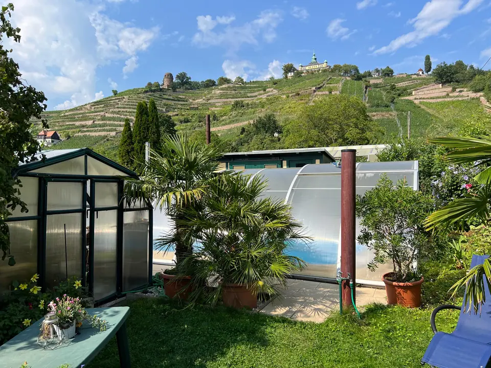 Pool auf Nachfrage: Mit Blick auf die Weinbergterrassen und das Spitzhaus.