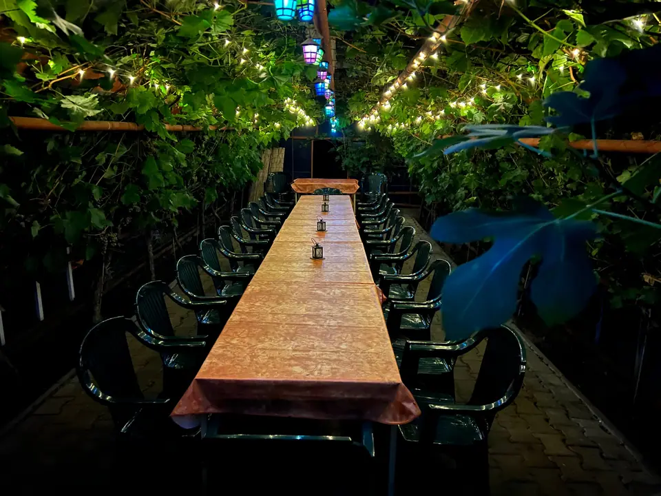 Lange Tafel im Gewächshaus der Straußwirtschaft, abends unter Lichterketten und Weinlaub