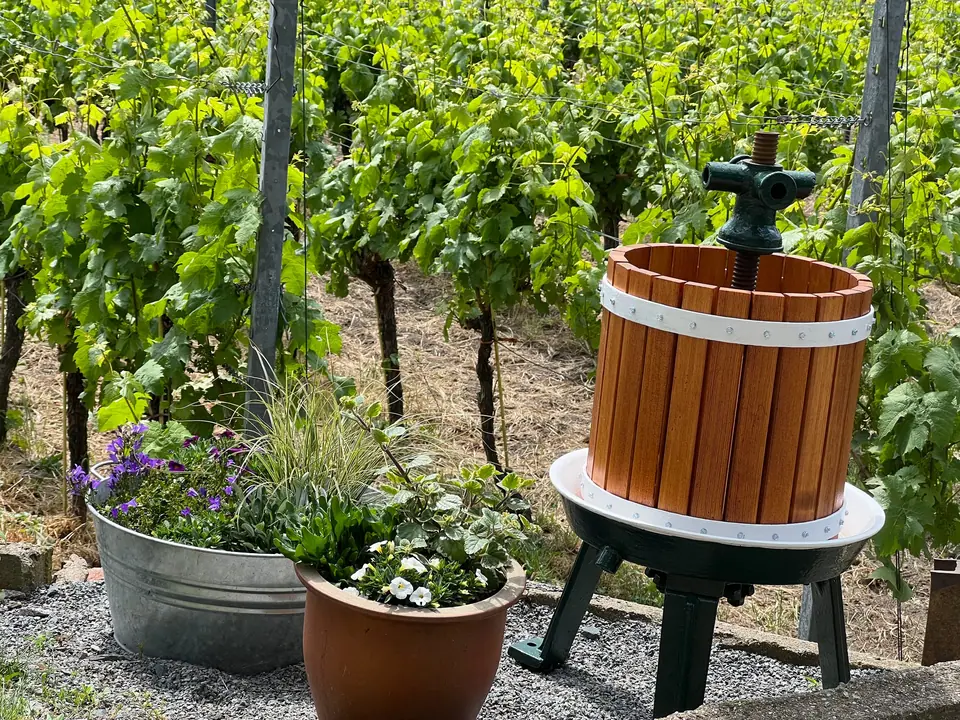 Alte Traubenpresse am Weinberg
