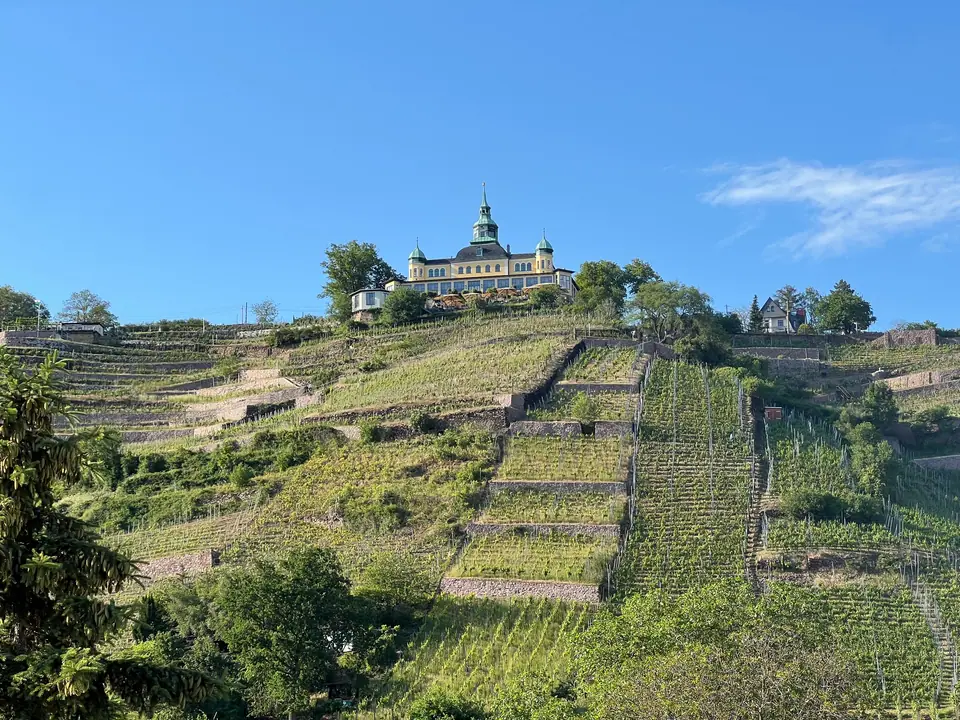 Terrassierte Weinberge am Hang, oben das Spitzhaus unter blauem Himmel